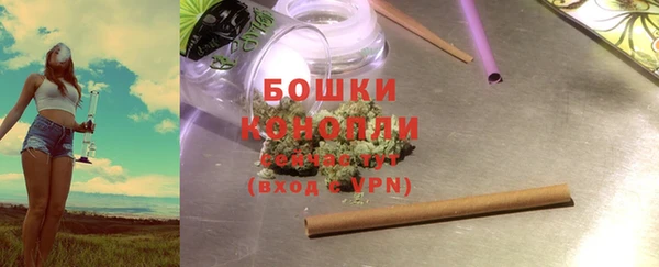 первитин Богданович