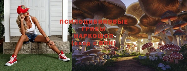 эйфоретик Богородицк