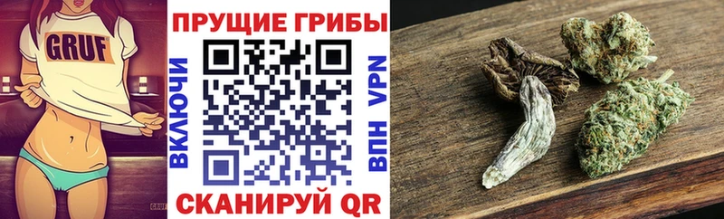 Псилоцибиновые грибы мицелий  Кореновск 